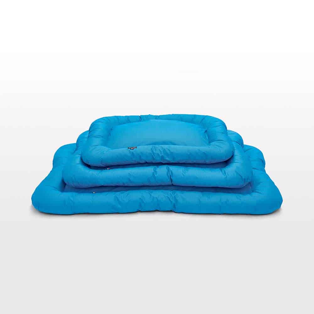 cuscino azzurro cane galileo