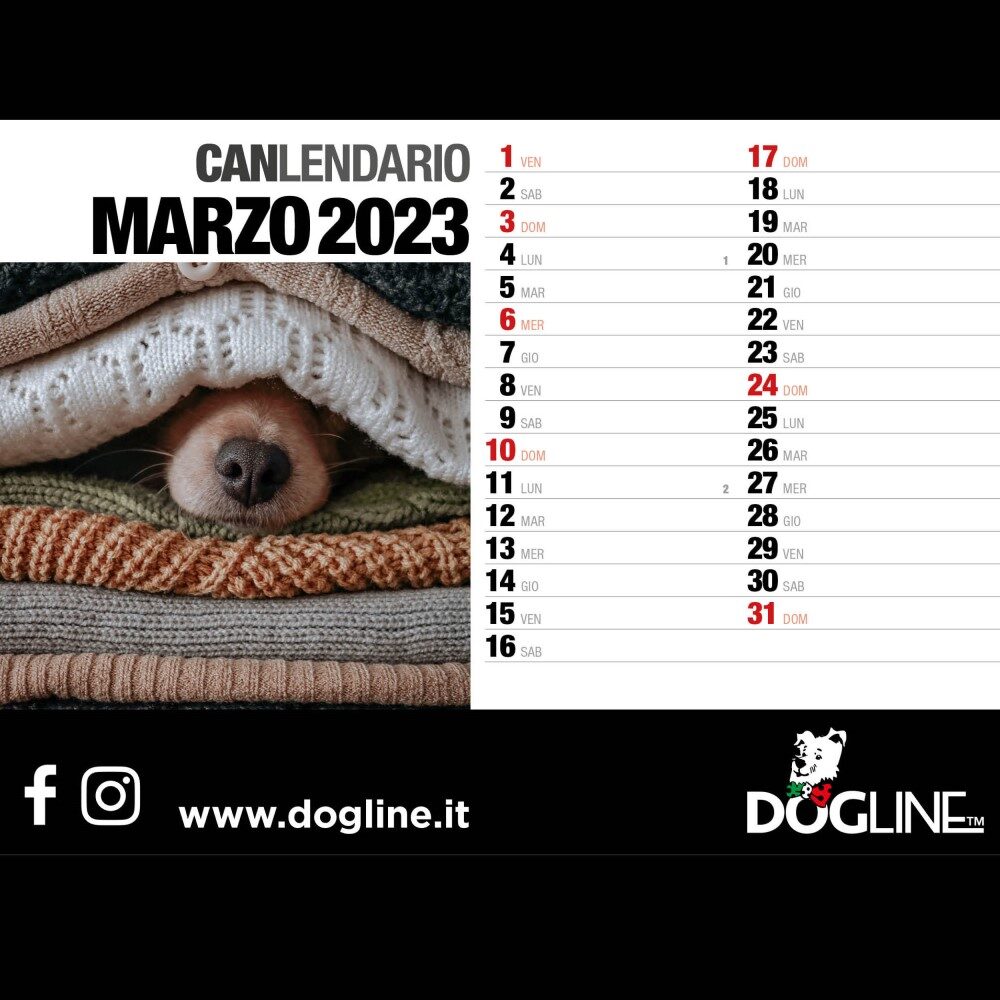 canlendario dogline 2023